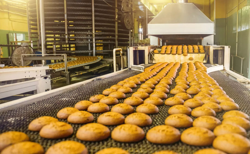 Conveyor systems used in the food industry